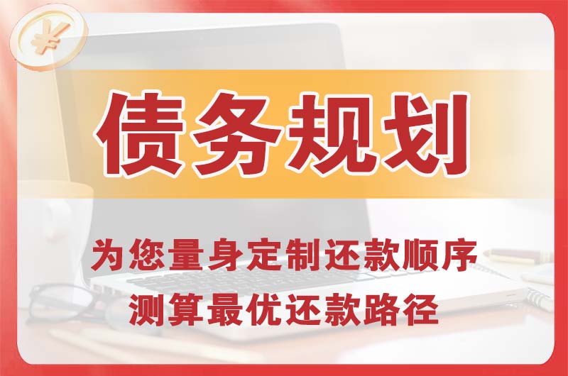兴化债务规划